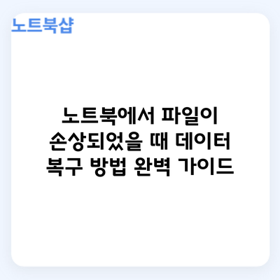 노트북에서 파일이 손상되었을 때: 데이터 복구 방법 완벽 가이드