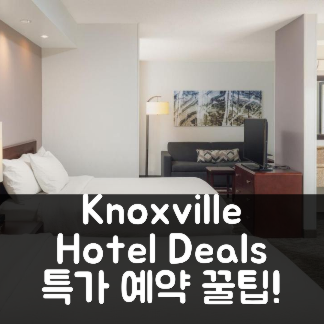 SpringHill Suites by Marriott Knoxville at Turkey Creek 녹스빌 (TN) 특가 예약 꿀팁!