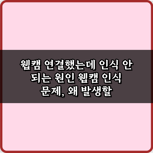 웹캠 연결했는데 인식 안 되는 원인, 5가지 완벽 해결 가이드