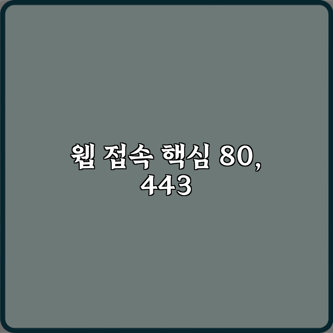 필수 개념! 포트 번호 80 443 의미와 차이 3가지